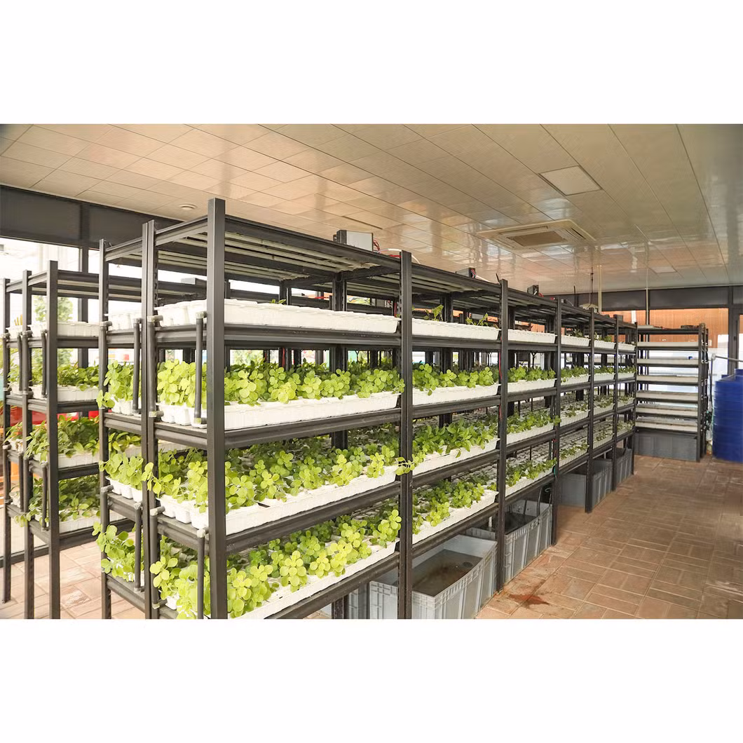 Agricultural Simple Spring and Autumn Inserted Single Greenhouse