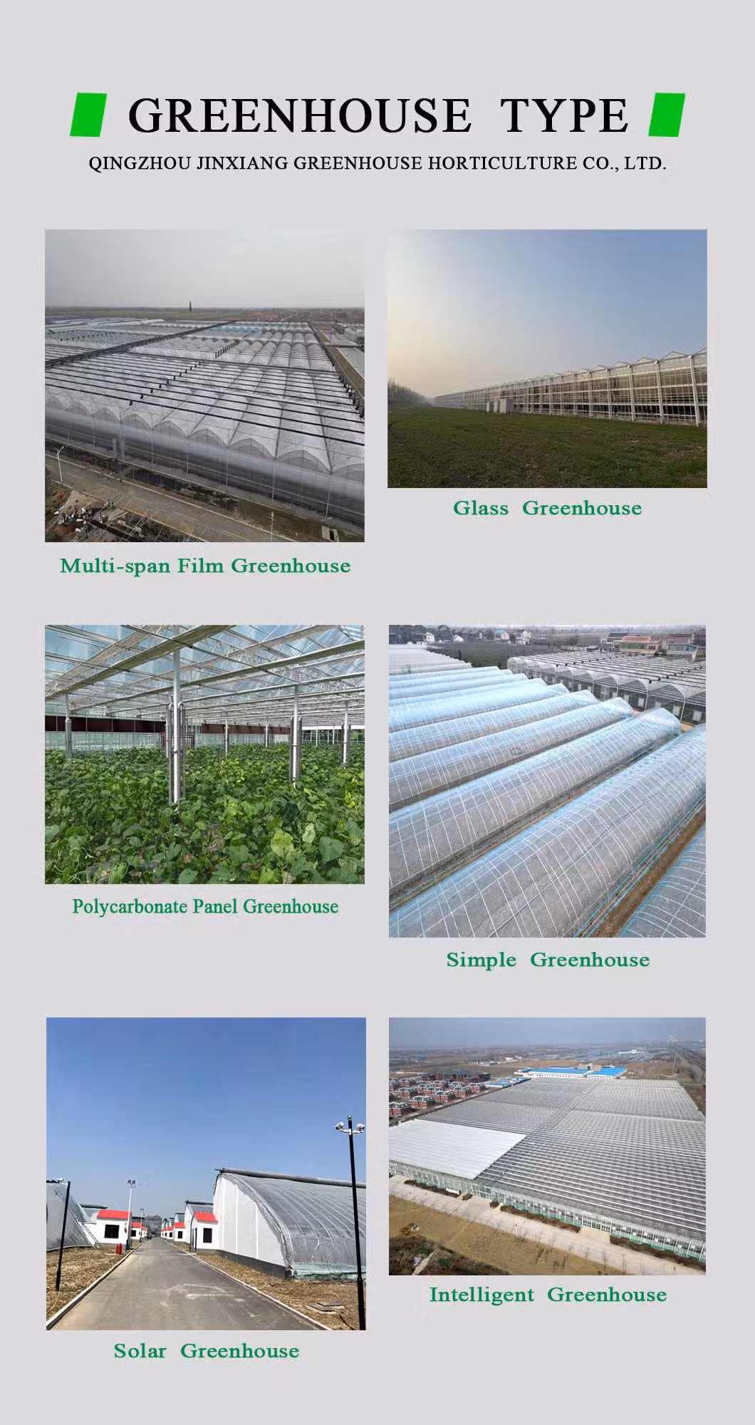 Low Cost Nursery Agricultural Plastic Film Single-Span Aluminum Frame Structure Flower Greenhouse for Plants Growing