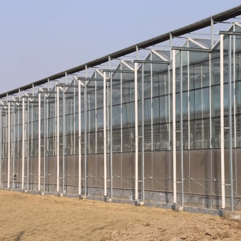 Heavy-Duty PC Greenhouse for Professional Horticulture with Multi-Layer Insulation Greenhouse