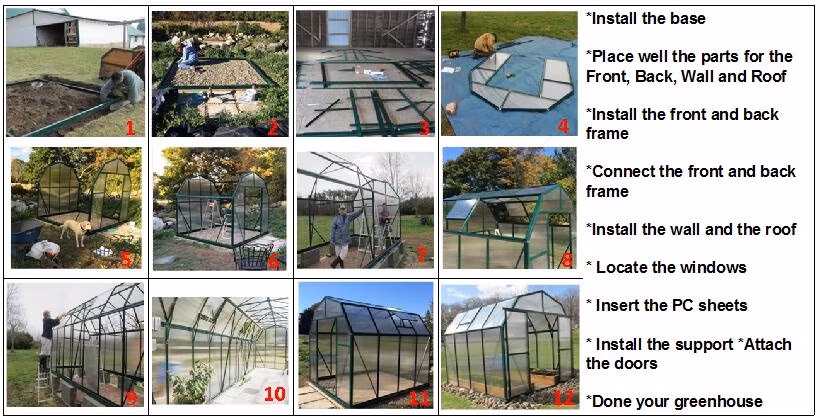 8X12 Feet Flower House Walk in Hobby Greenhouses in Winter Rdgs0812-6mm