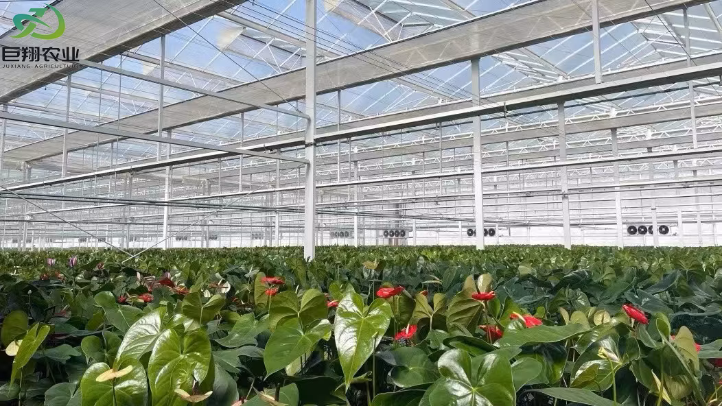 Aluminum Structure Half Greenhouse Lean to Greenhouse (Single Layer/Double Layer)