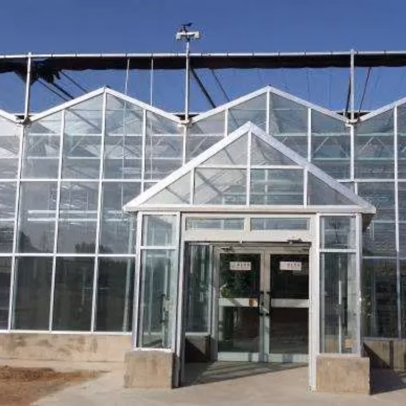 Aluminum Structure Half Greenhouse Lean to Greenhouse (Single Layer/Double Layer)