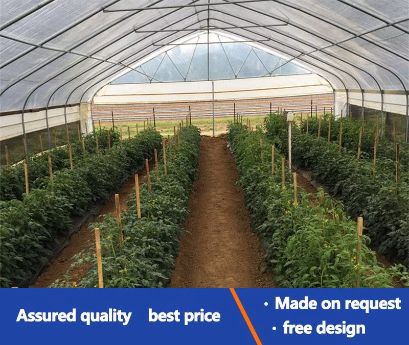 Outdoor Farm Agriculture Vegetable Galvanized Steel Pipes Tube Greenhouse Tent