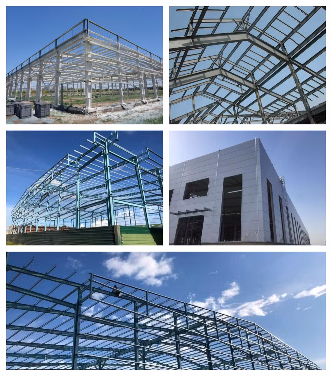 Equipment Agriculture Mushroom Steel Metal Single Span Growing Used Greenhouse Structure Frame Greenhouse for Snail Farming