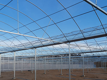 Yutuo Multi Span Plastic Film Greenhouse Flower Farm of Turnkey Greenhouse Material Agricultural Greenhouse