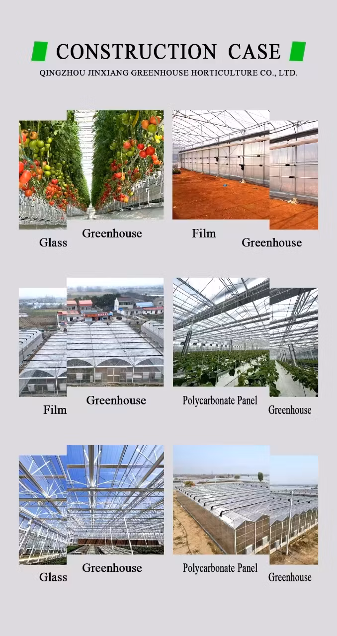 Low Cost Nursery Agricultural Plastic Film Single-Span Aluminum Frame Structure Flower Greenhouse for Plants Growing