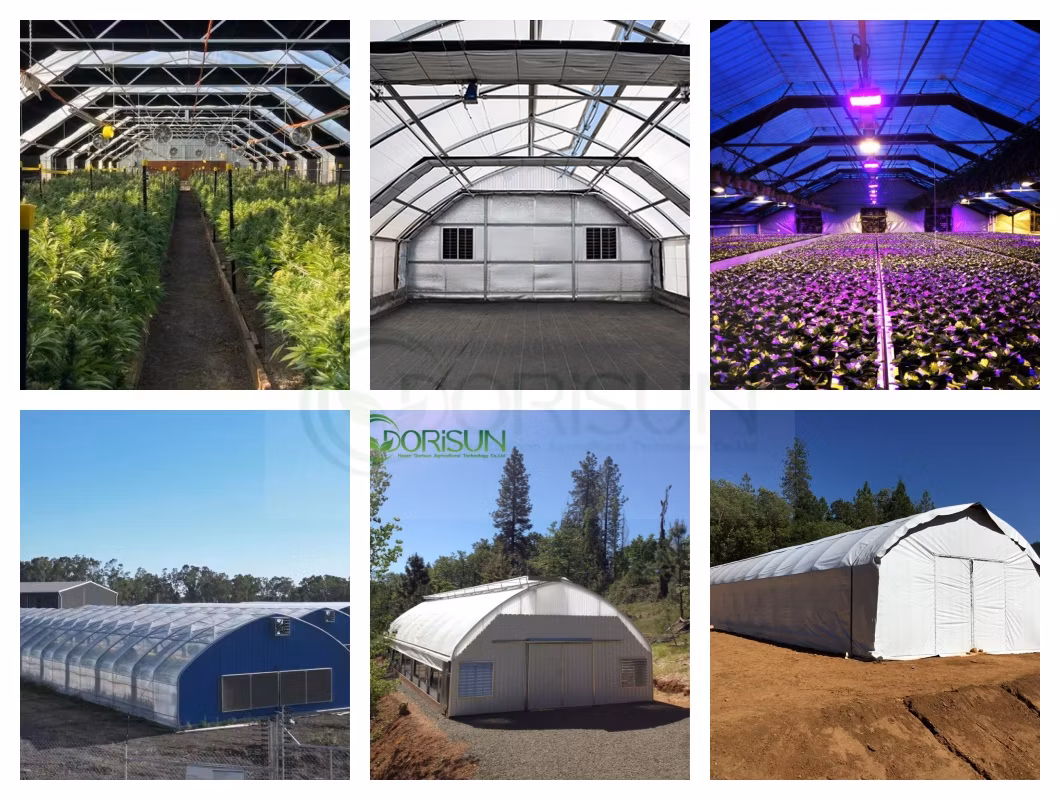 Irrigation and Nutrient Systems Agricultural Light Deprivation Green House Polytunnel Blackout Greenhouse