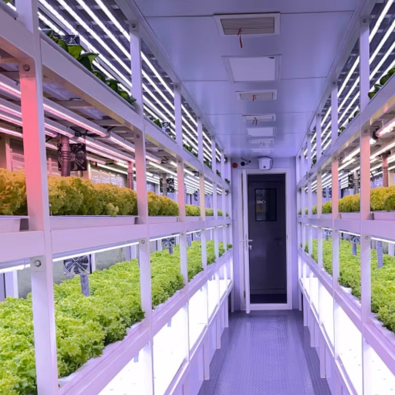 Turnkey Project 40FT Container Farm Greenhouse Indoor Hydroponics System Vertical Farming