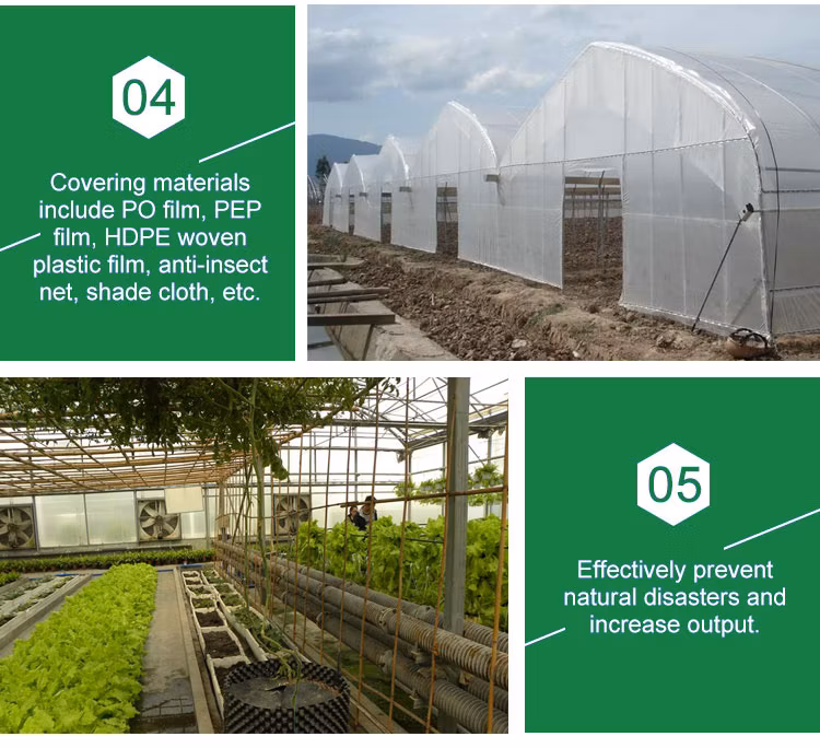 Vertical Rolling Table Polytunnel Agricultural Orangery Arch Galvanized Steel Frame Greenhouse