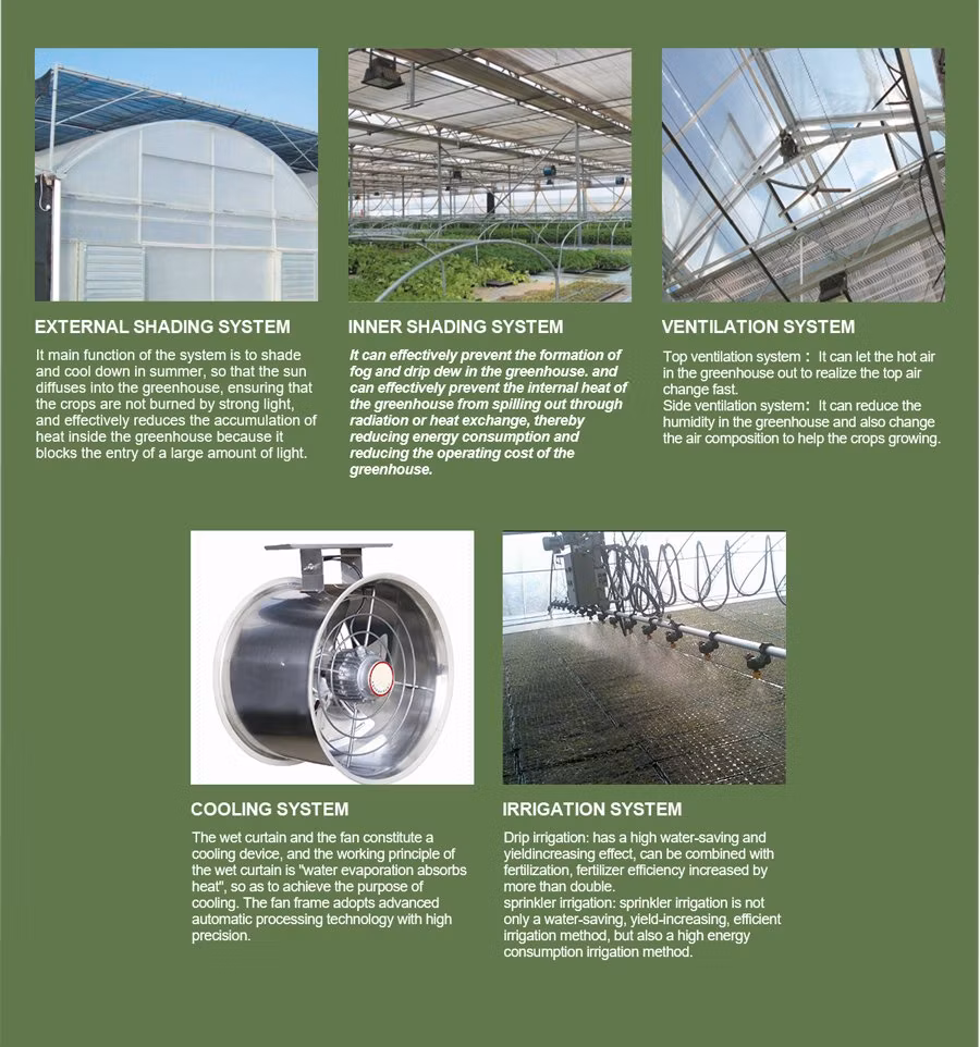 Heavy-Duty PC Greenhouse for Professional Horticulture with Multi-Layer Insulation Greenhouse