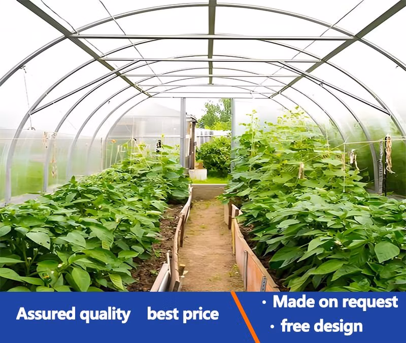 Outdoor Farm Agriculture Vegetable Galvanized Steel Pipes Tube Greenhouse Tent