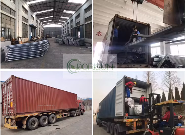Vertical Rolling Table Polytunnel Agricultural Orangery Arch Galvanized Steel Frame Greenhouse