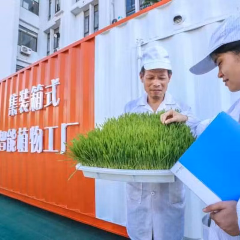 Turnkey Project 40FT Container Farm Greenhouse Indoor Hydroponics System Vertical Farming