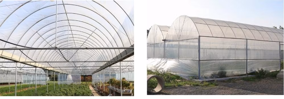 New Agriculture Greenhouse with Hydroponic Growing Vertical System 288 Holes LED Light