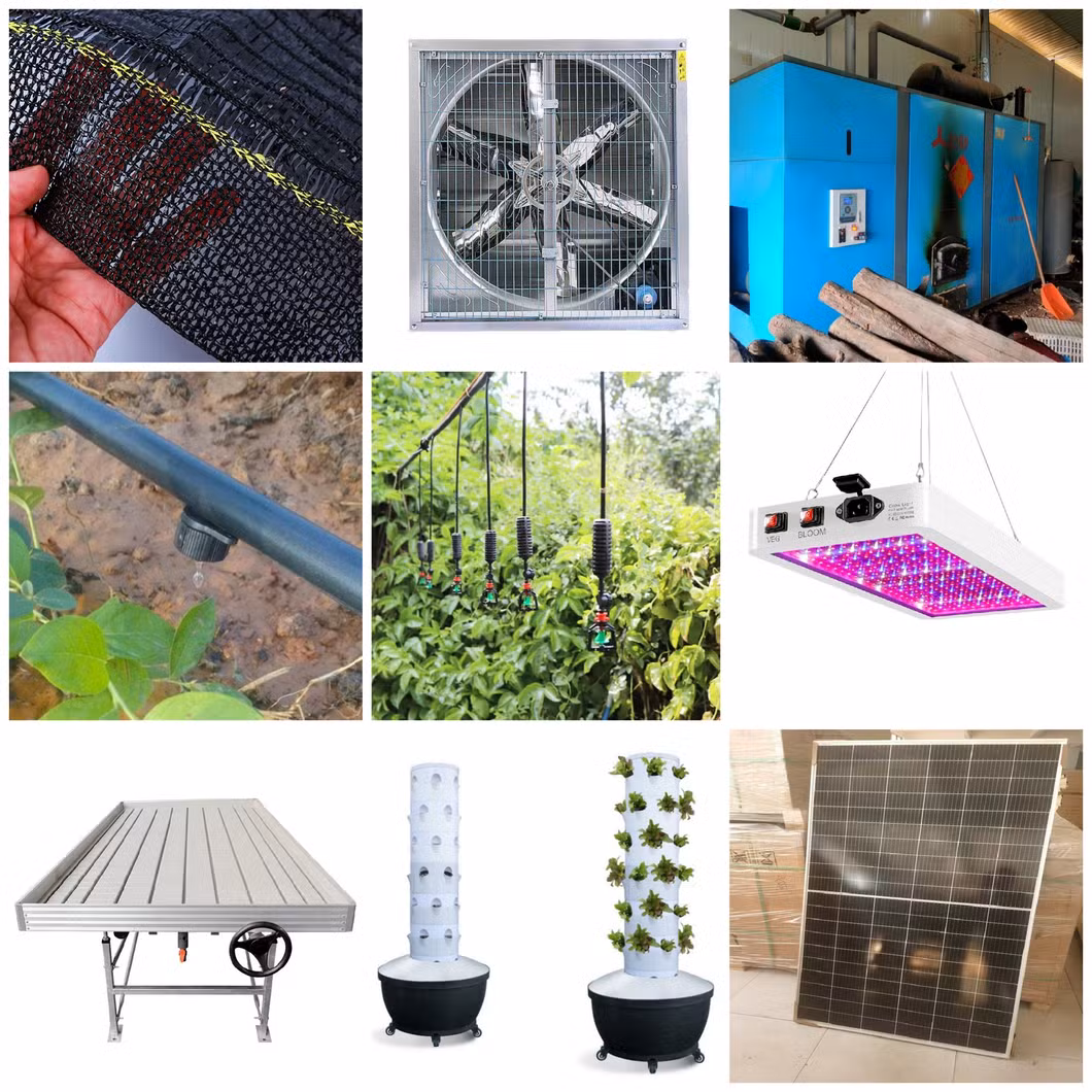China Low Price Easy to Install Tunnel Metal Structure Plastic Film Hot DIP Galvanized Frame Structure Greenhouse