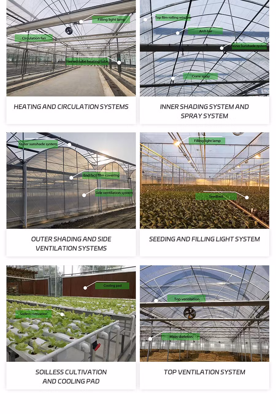 Low Cost Plastic Film Covered Photovoltaic Greenhouse Tunnel Top Vent Sawtooth Solar Photovoltaic Greenhouse