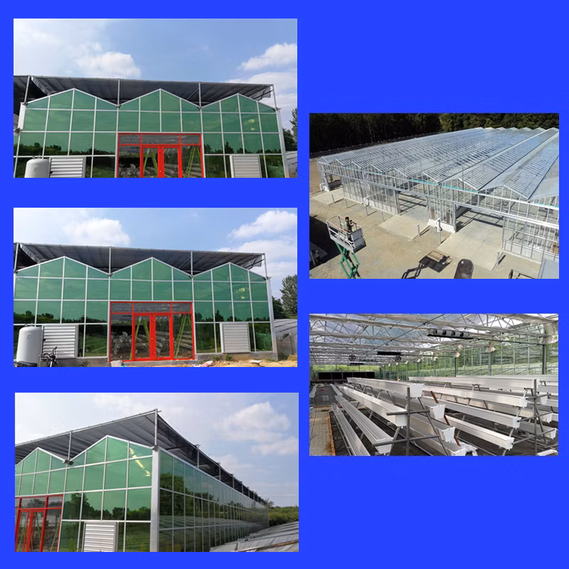 A-Frame Hydroponics Growing Channel Greenhouse for Agriculture Farming