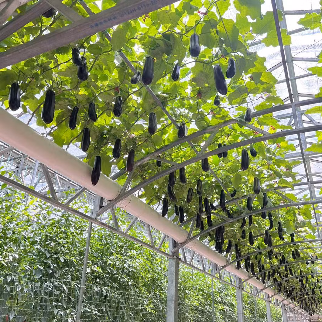 Low Cost Nursery Agricultural Plastic Film Single-Span Aluminum Frame Structure Flower Greenhouse for Plants Growing