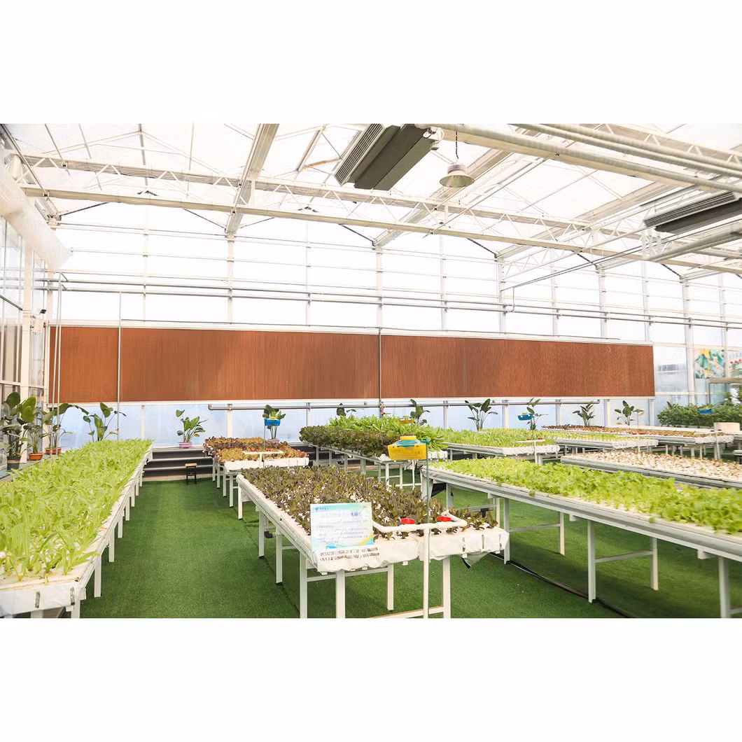 Agricultural Simple Spring and Autumn Inserted Single Greenhouse
