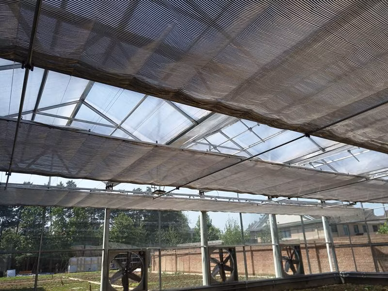 Customize Vegetable Custom Made Greenhouses Glass Greenhouse
