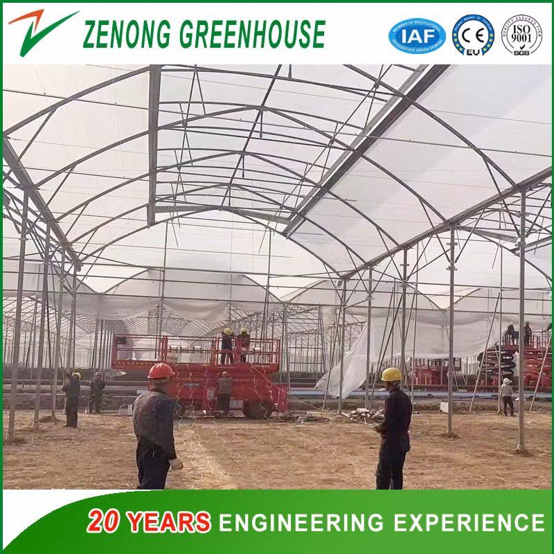 Raw Tooth Type Tropical Greenhouse Film Greenhouse with Automatic Temperature Control for Vegetable Planting Tomato/Cucumber/Seedling/Nursery