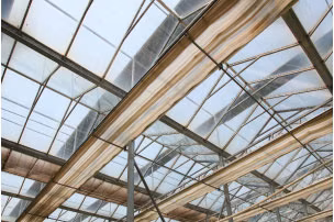 Customized Glass Horticulture Multi Span Agricultural Tunnel Intelligent Flower House Hydroponics System Greenhouse