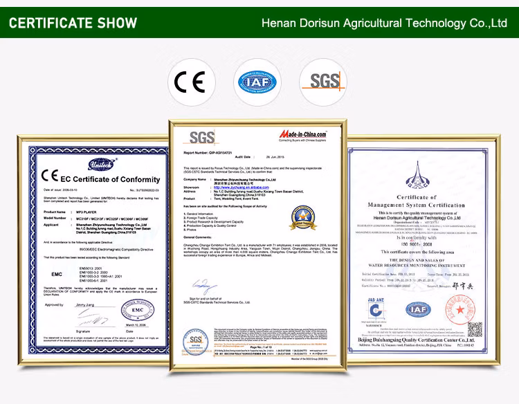 Large Walk-in Double Layer Plastic Film Nursery Competitive Price Multispan Glass Farm Greenhouse for Strawberry