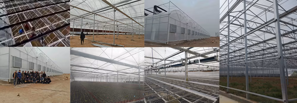 Customized Glass Horticulture Multi Span Agricultural Tunnel Intelligent Flower House Hydroponics System Greenhouse