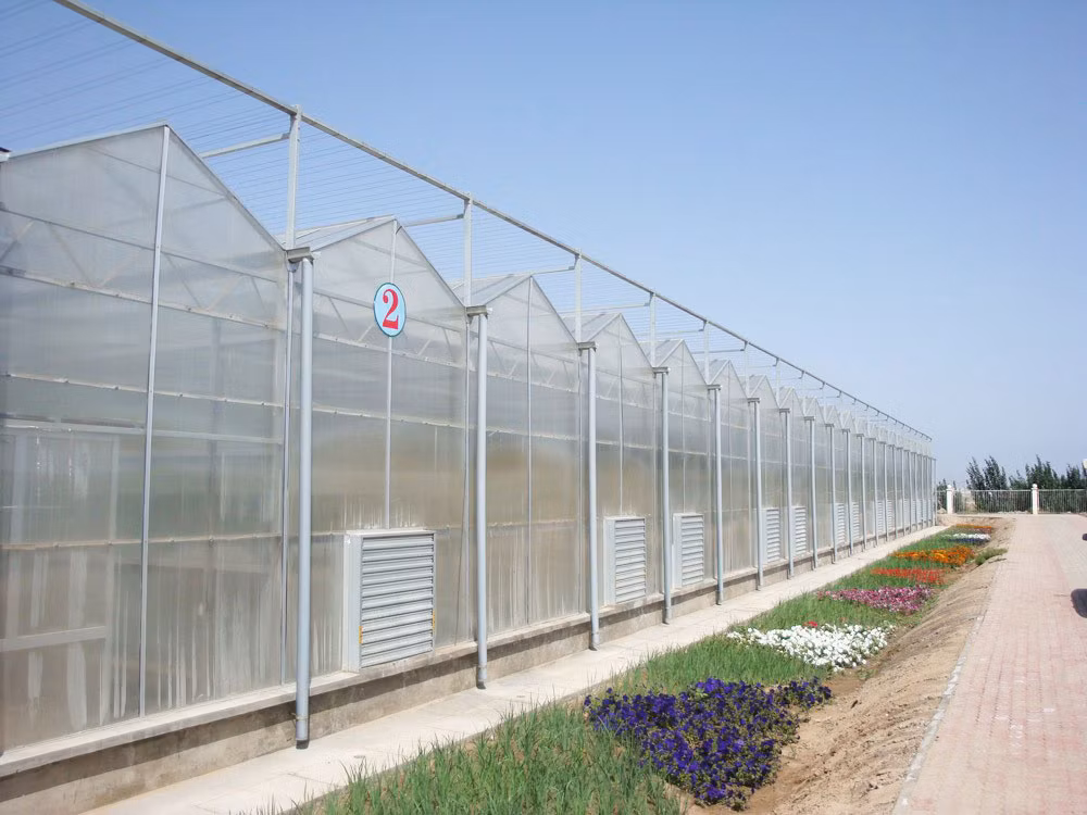 Customized Glass Horticulture Multi Span Agricultural Tunnel Intelligent Flower House Hydroponics System Greenhouse