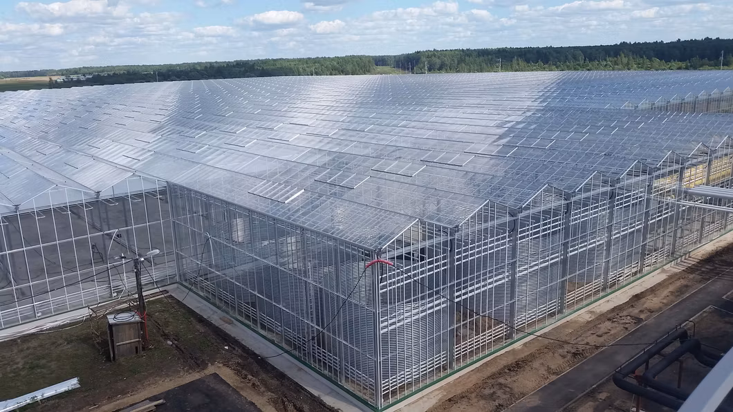 Customize Vegetable Custom Made Greenhouses Glass Greenhouse