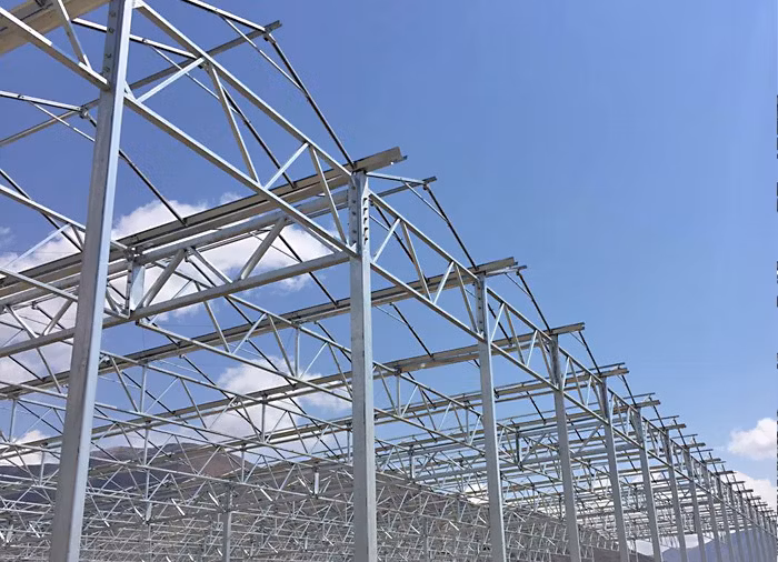 Customized Glass Horticulture Multi Span Agricultural Tunnel Intelligent Flower House Hydroponics System Greenhouse