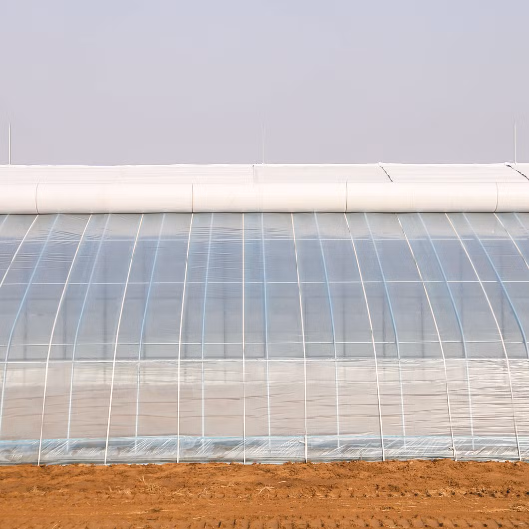 Multi-Specification Wide Plastic Film Transparent Thickening Greenhouse Film Agricultural White Film