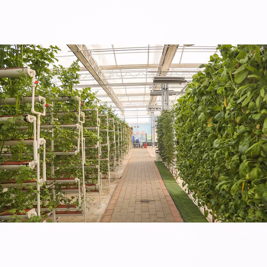 Multi-Specification Wide Plastic Film Transparent Thickening Greenhouse Film Agricultural White Film