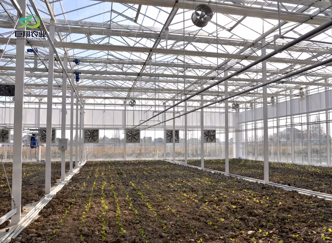 Intelligent Agricultural Glass Greenhouse for Soilless Tomatoes/Peppers/Fruits with Shading and Cooling System Selling to Russia