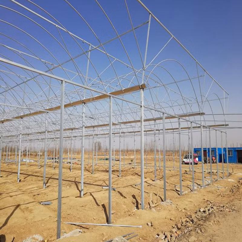 Low Cost Multi-Span Arch Modern Agricultual Greenhouse with Hydroponics System for Seedling Cultivation