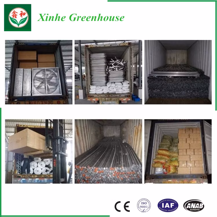 Cost-Efficient Film Greenhouses for Strawberry