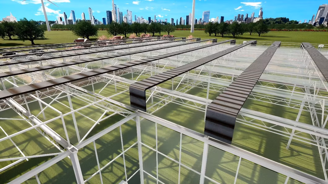 Fish and Vegetable Symbiotic System Efficient Venlo Tempered Multi-Span Glass Greenhouse Pellet Machine Large 500 Square Meters