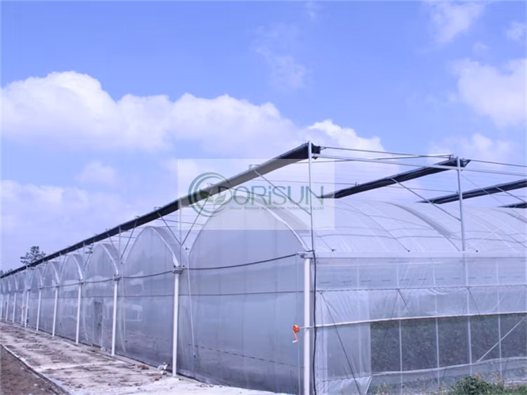 Venlo Glass Greenhouse Agricultural Greenhouse Morocco Galvanized Pipe for Greenhouse Steel Structure