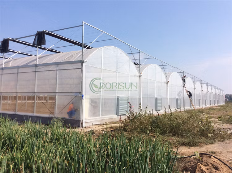 Venlo Glass Greenhouse Agricultural Greenhouse Morocco Galvanized Pipe for Greenhouse Steel Structure