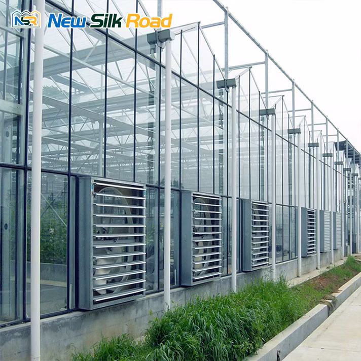 Multi-Span Venlo Glass Polycarbonate Greenhouse Glass Greenhouse for Agro