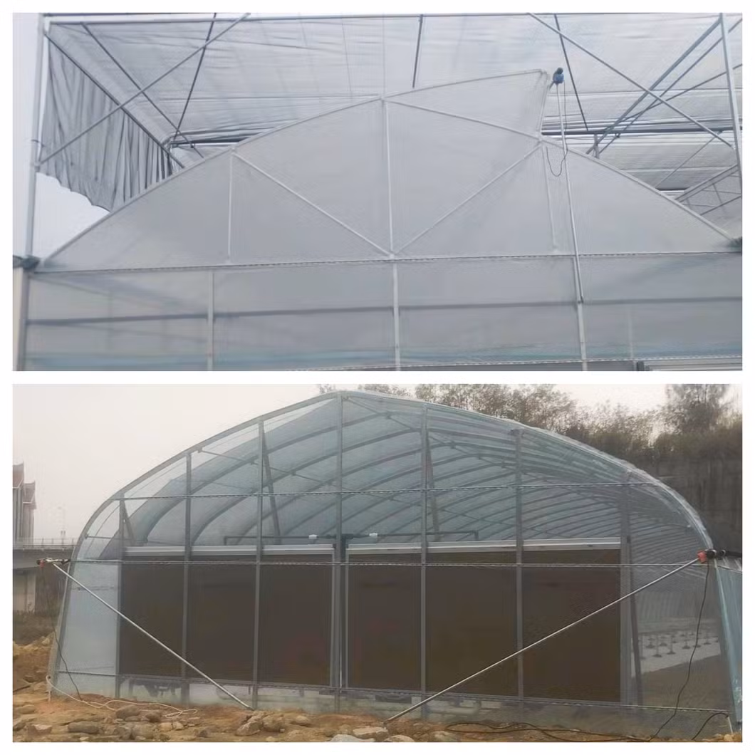 Electric Film Reeler for Greenhouse Roof/Side Ventilation Opening and Closing