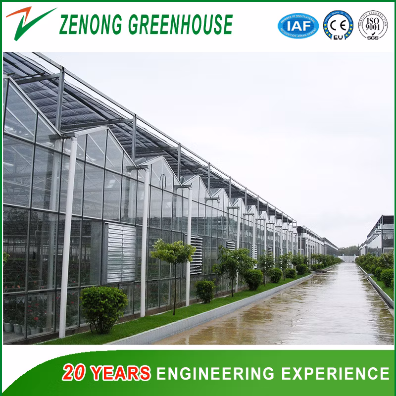 Modern Tempered Glass Multi-Span Greenhouse with Hydroponcis for Sightseeing/Ecological Picking/Fruit Tree