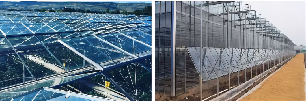 Aluminum Frame PC Plastic Board Greenhouse with Hydroponics System and Blackout Net