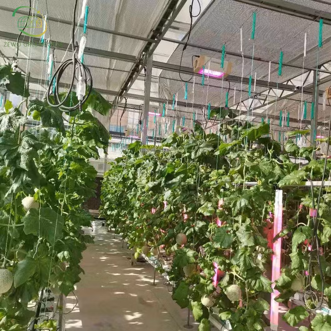 Agricultural Hydroponic-System Smart Home Vertical Farming Indoor Hydroponics System for Lettuce