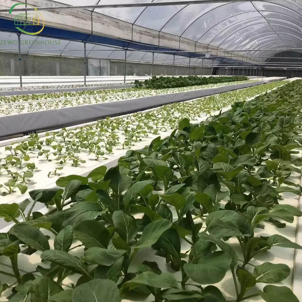 Agricultural Hydroponic-System Smart Home Vertical Farming Indoor Hydroponics System for Lettuce