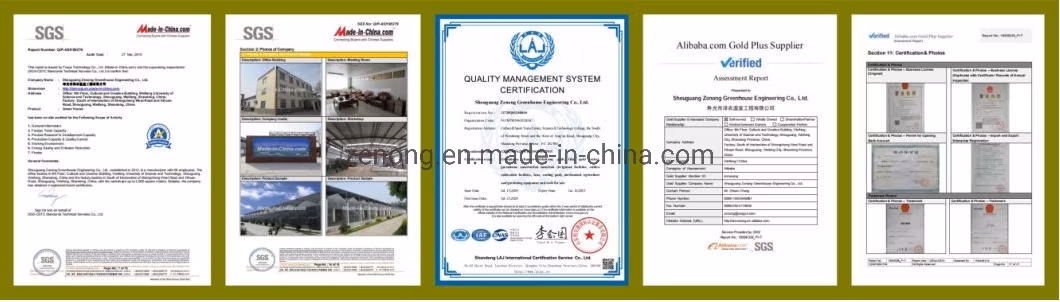 Venlo Type Glass Green House/Glasshouse for Vegetables/Flowers/Cucumber/Exhibition Hall/Farm with Float Glass/Good Transmittance/Galvanized Frame