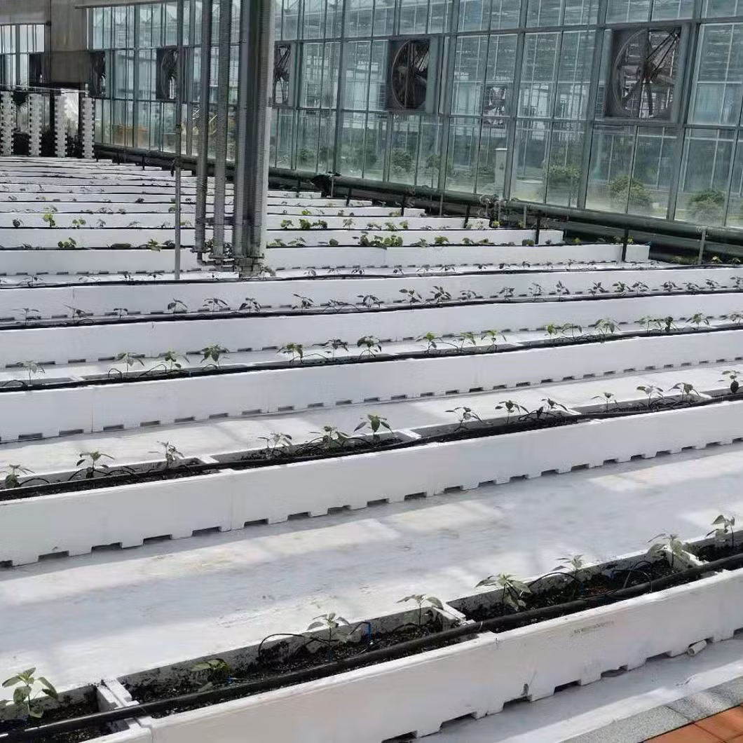 Deep Water Cultivation Model/Wall Style Culture/a Frame for Strawberry/Box Substrate Culture for Lettuce Salad/Spinach/Herbs