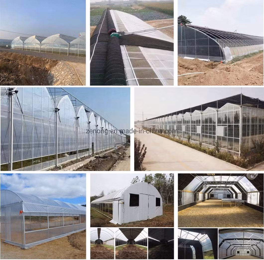 Venlo Type Glass Green House/Glasshouse for Vegetables/Flowers/Cucumber/Exhibition Hall/Farm with Float Glass/Good Transmittance/Galvanized Frame