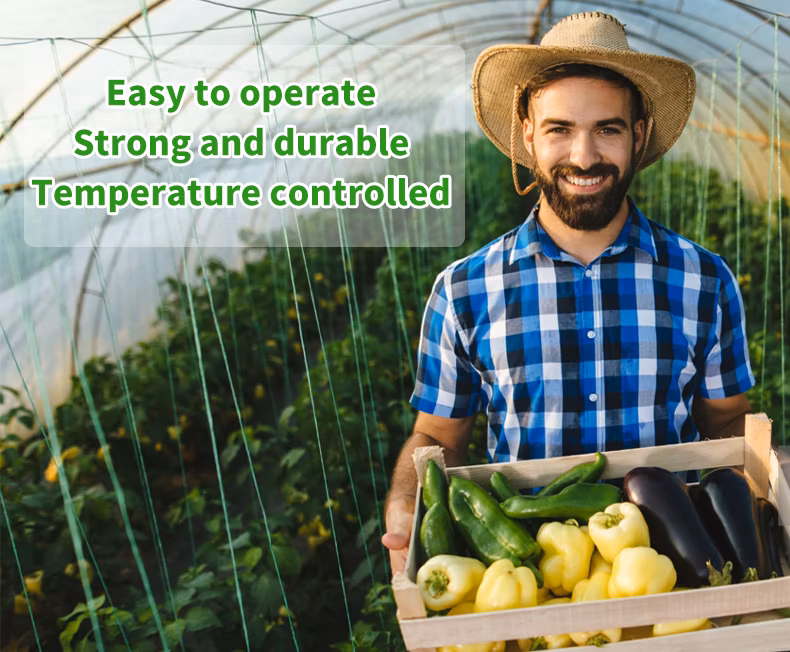 High Quality Automated Single Span Plastic Film Covered Greenhouse Sedling Green House