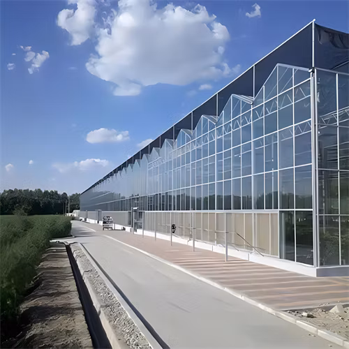 Greenhouse Construction /Cheap Intelligent Agriculture Multi-Span Glass Greenhouse Hydroponic Greenhouse